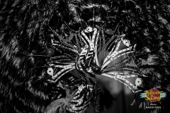 Policoro in Swing 23.8.2025 | David Poul | www.davidpoul.cz