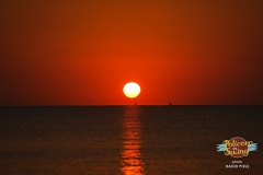 Policoro in Swing 24.8.2025 | David Poul | www.davidpoul.cz