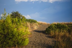 Policoro in Swing 23.8.2025 | David Poul | www.davidpoul.cz